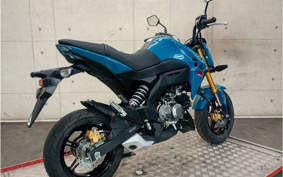 KAWASAKI Z125 PRO BR125H
