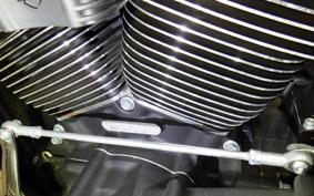 HARLEY FLFB1920 2025