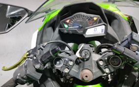 KAWASAKI NINJA 250 EX250L