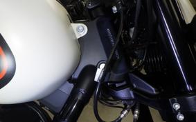 HARLEY FXDRS1870 2019