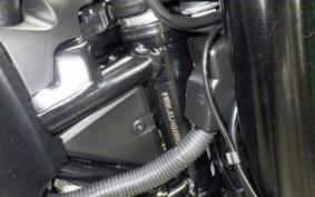 HUSQVARNA SVARTPILEN 401 2024