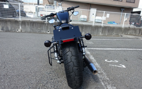 HARLEY HARLEY XL883N 2010 LE2