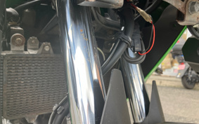 KAWASAKI VERSYS-X 250 TOURER LE250D