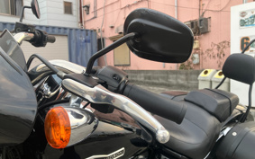 HARLEY FLSB 2019 YMJ