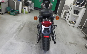 KAWASAKI W800 2012 EJ800A