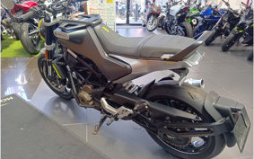 OTHER HUSQUARNA SVARTPILEN250