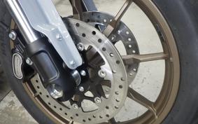 HARLEY FXLRST1920 2025