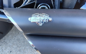 HARLEY FXBRS 2020 YHK