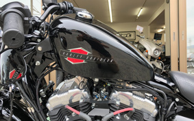 HARLEY XL1200X 2019 LC3