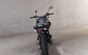 YAMAHA FZ25 RG42