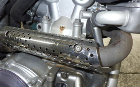 YAMAHA WR250R 2024 DG15J