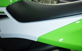 KAWASAKI NINJA 250 2015 EX250L