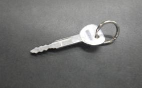 YAMAHA MAXAM 250 2025 SG21J