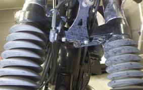 KAWASAKI W800 2021 EJ800B
