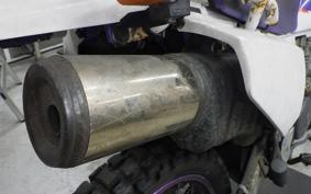 YAMAHA TT250R RAID 4GY