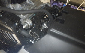 HONDA ﾀﾞﾝｸ 2009 AF78