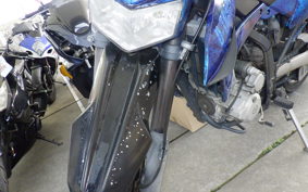 KAWASAKI KLX250D TRACKER X 2021 LX250V