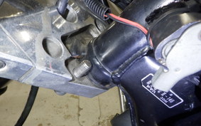 YAMAHA VIRAGO 250 2022 3DM