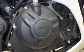 YAMAHA YZF-R25 2006 RG10J