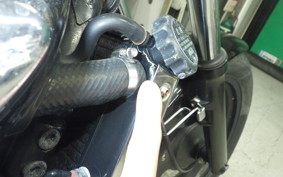KAWASAKI ELIMINATOR 250 V