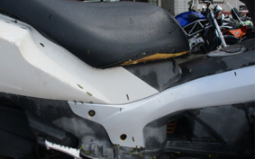 PGO G-MAX200