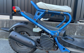 HONDA ZUMAR AF58