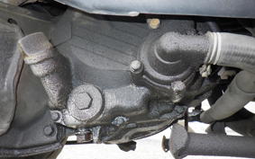 HONDA FUSION SE MF02