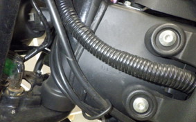 YAMAHA XSR155 2023