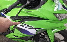 KAWASAKI ZX-25RR 2011 ZX250H