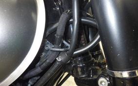 KAWASAKI W800-2ｽﾄﾘｰﾄ 2021 EJ800B