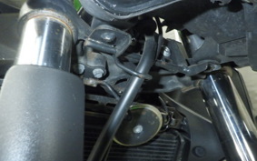 KAWASAKI Z250 A 2021 ER250C