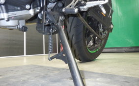 KAWASAKI Z250 Gen.2 2023 EX250Y