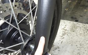 KAWASAKI W800 CAFE 2021 EJ800B