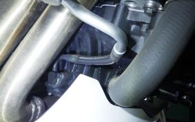 TRIUMPH SPEED TRIPLE RS 2020