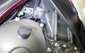 YAMAHA YZF-R1 2010 RN24J