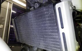 HONDA HORNET 250 MC31