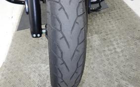 INDIAN Chief Dark Horse bobber 2025