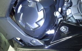 KAWASAKI NINJA 1000 SX 2024 ZXT02K