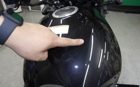 HONDA REBEL 1100 DCT 2022 SC83
