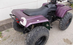 YAMAHA BIGBEA-4X4 3HN