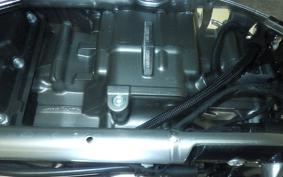 HARLEY FLSTFI1920 2025