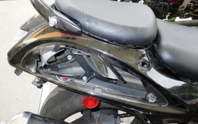 SUZUKI HAYABUSA Gen.2 2010