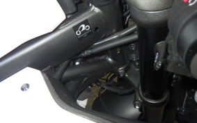 HONDA CBR650R 2023 RH03