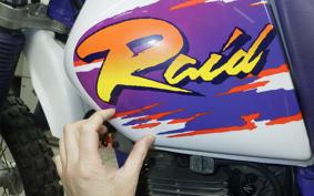 YAMAHA TT250R RAID 4GY