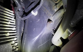 HONDA LEAD 125 JF45