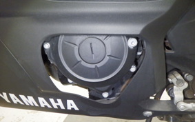YAMAHA YZF R-3 2019 RH13J