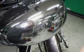 YAMAHA VIRAGO 250 3DM