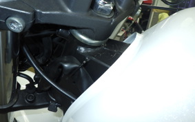 HONDA HORNET 250 2013 MC31