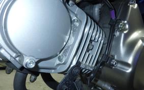 HONDA MONKEY 125 ABS 2021 JB02