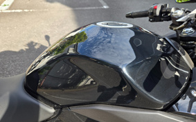 SUZUKI GSX250 R DN11A